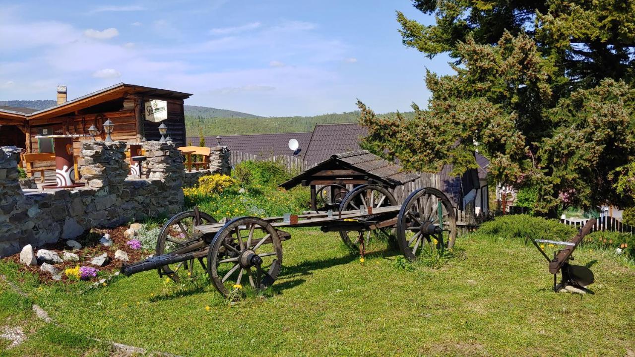 Pod Hradom Restaurant & Pension Topolcany Exterior photo